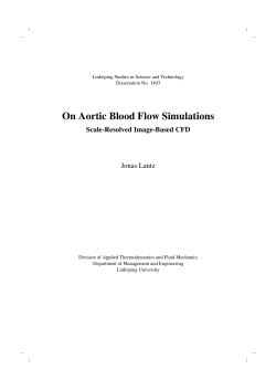 On Aortic Blood Flow Simulations Scale-Resolved Image