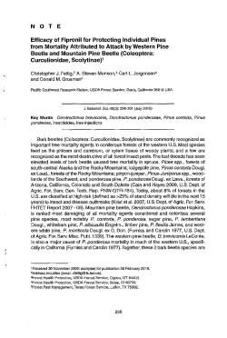 Efficacy of Fipronil for Protecting Individual Pines from