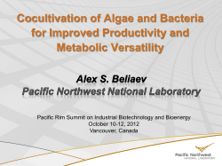 Alexander Beliaev, Pacific Northwest National Laboratory