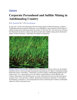 Robert DesJarlait - Corporate Personhood and Sulfide Mining in