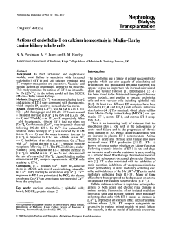Actions of endothelin-1 on calcium homeostasis in Madin&mdash;Darby
