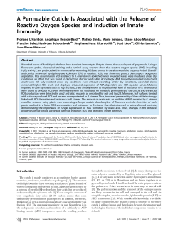 A Permeable Cuticle Is Associated with the Release of Reactive