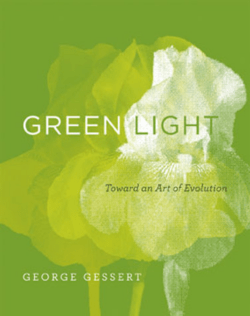 Green Light: Toward an Art of Evolution