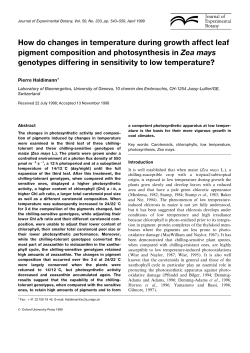 How do changes in temperature during growth