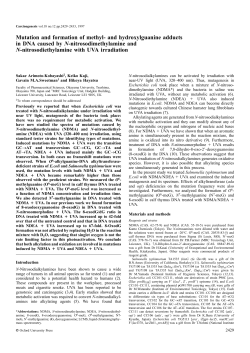 Mutation and formation of methyl- and