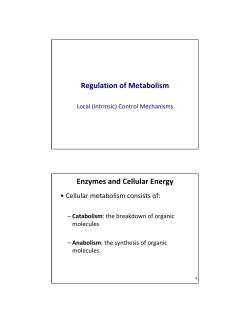 Regulation of Metabolism Enzymes and Cellular Energy