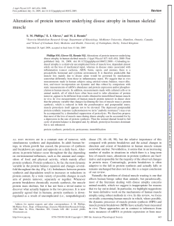 Alterations of protein turnover underlying disuse atrophy in human