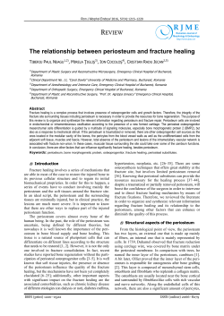 The relationship between periosteum and fracture healing