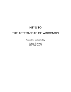 keys to the asteraceae of wisconsin - Flora of Wisconsin