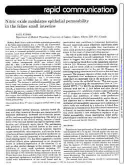 Nitric oxide modulates epithelial permeability in the feline small
