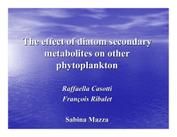 The effect of diatom secondary metabolites on other phytoplankton
