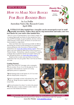 How to Make Nest Blocks for Blue Banded Bees