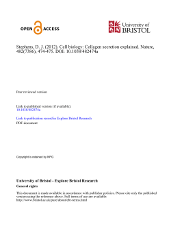 Collagen secretion explained - Explore Bristol Research
