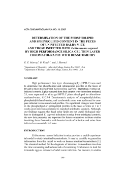 DETERMINATION OF THE PHOSPHOLIPID AND SPHINGOLIPID