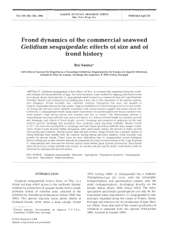 Frond dynamics of the commercial seaweed Gelidium sesquipedale