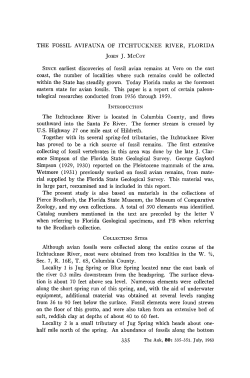 THE FOSSIL AVIFAUNA OF ITCHTUCKNEE RIVER, FLORIDA