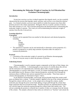 Determining the Molecular Weight of Amylase by Gel Filtration/Size