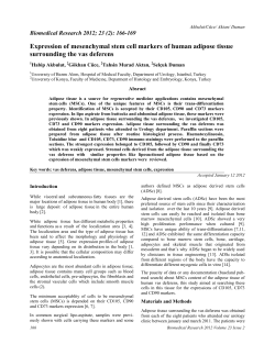 Expression of mesenchymal stem cell markers of