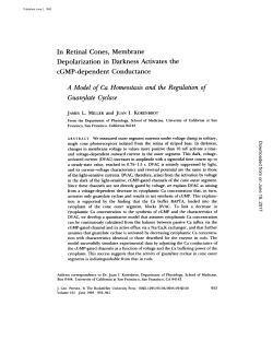 A Model of Ca Homeostasis and the Regulation Guanylate Cyclase