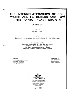 entire lesson plan PDF