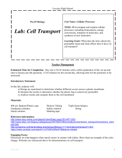 Lab: Cell Transport