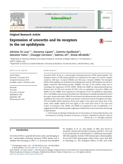 Expression of urocortin and its receptors in the rat epididymis
