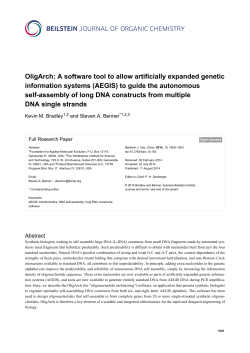 A software tool to allow artificially expanded genetic information