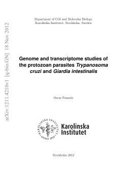 Genome and transcriptome studies of the protozoan parasites