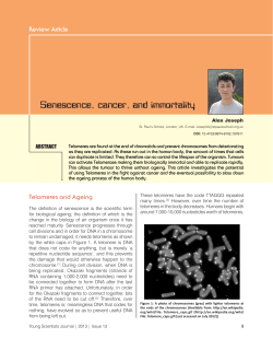 Senescence, cancer, and immortality