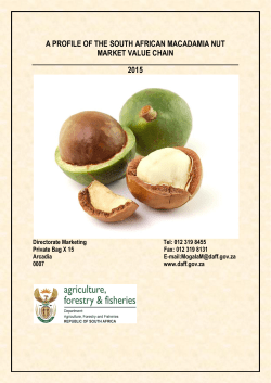 Macadamia nuts market value chain profile 2015