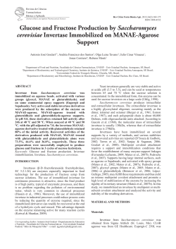 Glucose and Fructose Production by Saccharomyces
