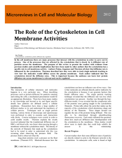 The Role of the Cytoskeleton in Cell Membrane Activities