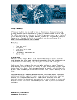 Activity Soap Carving