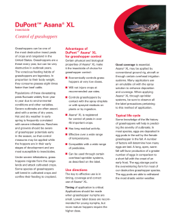 DuPont&trade; Asana&reg; XL insecticide