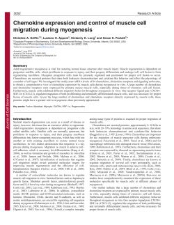 Chemokine expression and control of muscle cell migration during