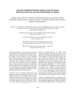 lead shot poisoning in swans: sources of pellets within whatcom