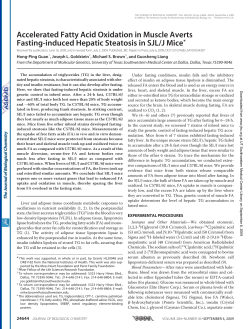 Accelerated Fatty Acid Oxidation in Muscle