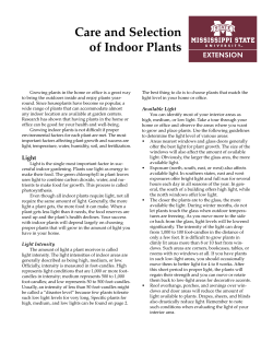 P1012 Care and Selection of Indoor Plants
