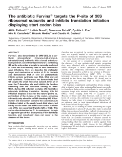 The antibiotic Furvina targets the P