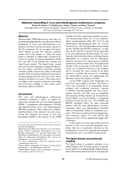 Substrate channelling in 2-oxo acid dehydrogenase multienzyme