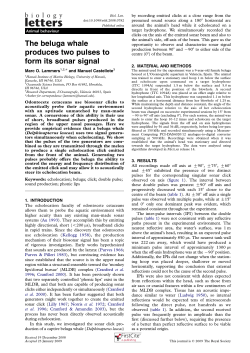 pdf - Oceanwide Science Institute