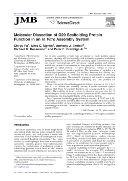Molecular Dissection of &Oslash;29 Scaffolding Protein Function in an in