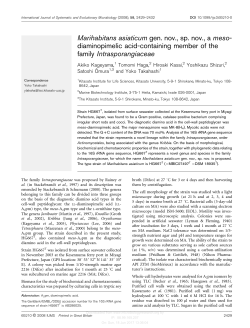 Marihabitans asiaticum gen. nov., sp. nov., a meso