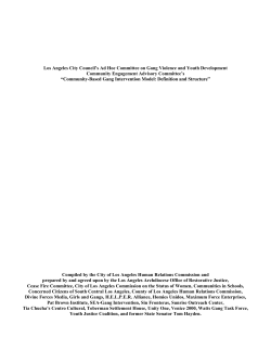 Los Angeles City Gang Intervention