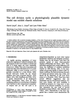 The cell division cycle: a physiologically plausible dynamic model