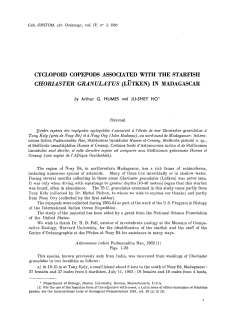 Cyclopoid copepods associated with the starfish Choriaster granulatus