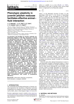 Phenotypic plasticity in juvenile jellyfish medusae facilitates effective