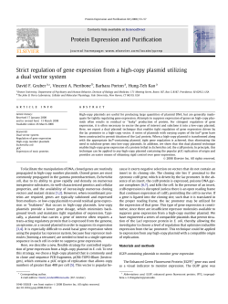 Strict regulation of gene expression from a high