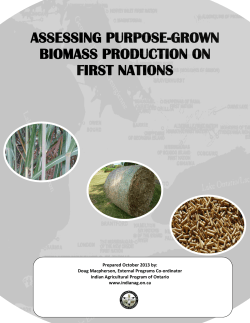 assessing purpose-grown biomass production on first nations