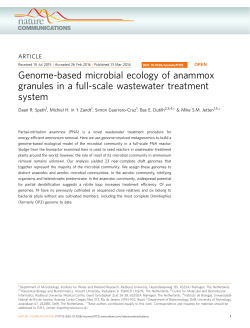 Genome-based microbial ecology of anammox granules in a full